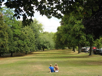 Peaceful grass and trees in Leamington Spa