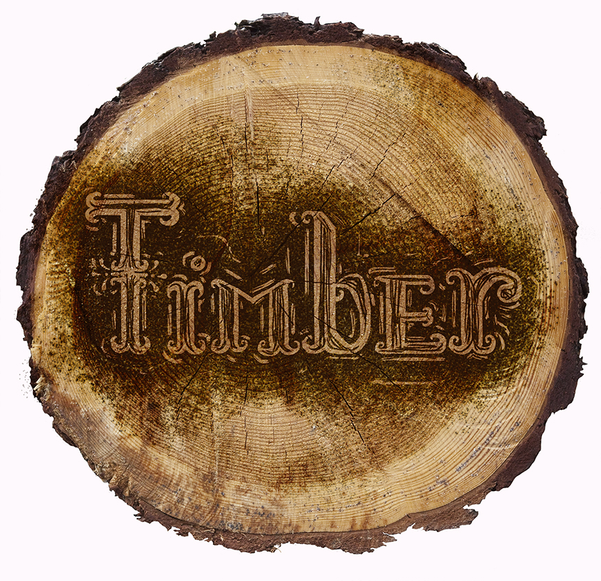Katrick's Eyes Timber Logo