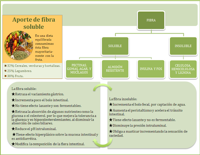 Propiedades fisiológicas de la fibra