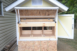 chicken nesting coop chickens box jewels treasures would winter