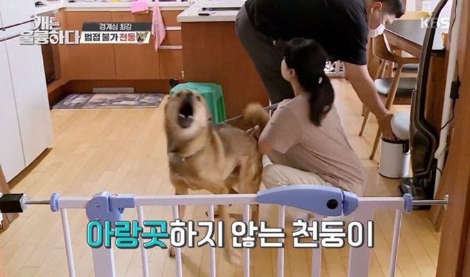 이미지에 대체텍스트 속성이 없습니다; 파일명은 82vfsdl538833ph0381u.jpg 입니다.