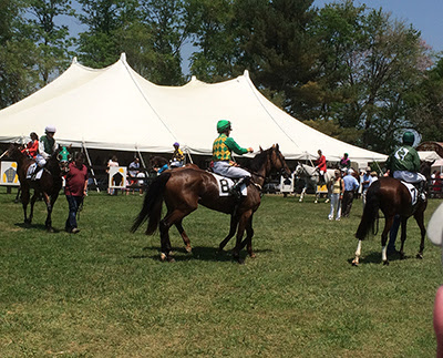 Scott Wykoff S Wbal Radio Blog A Maryland Turf Treasure