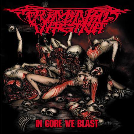 Album Review Download Criminal Vagina - In Gore We Blast 2011 - Brutal Porno Grind Music Style