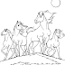 Coloring Pages Of Horses