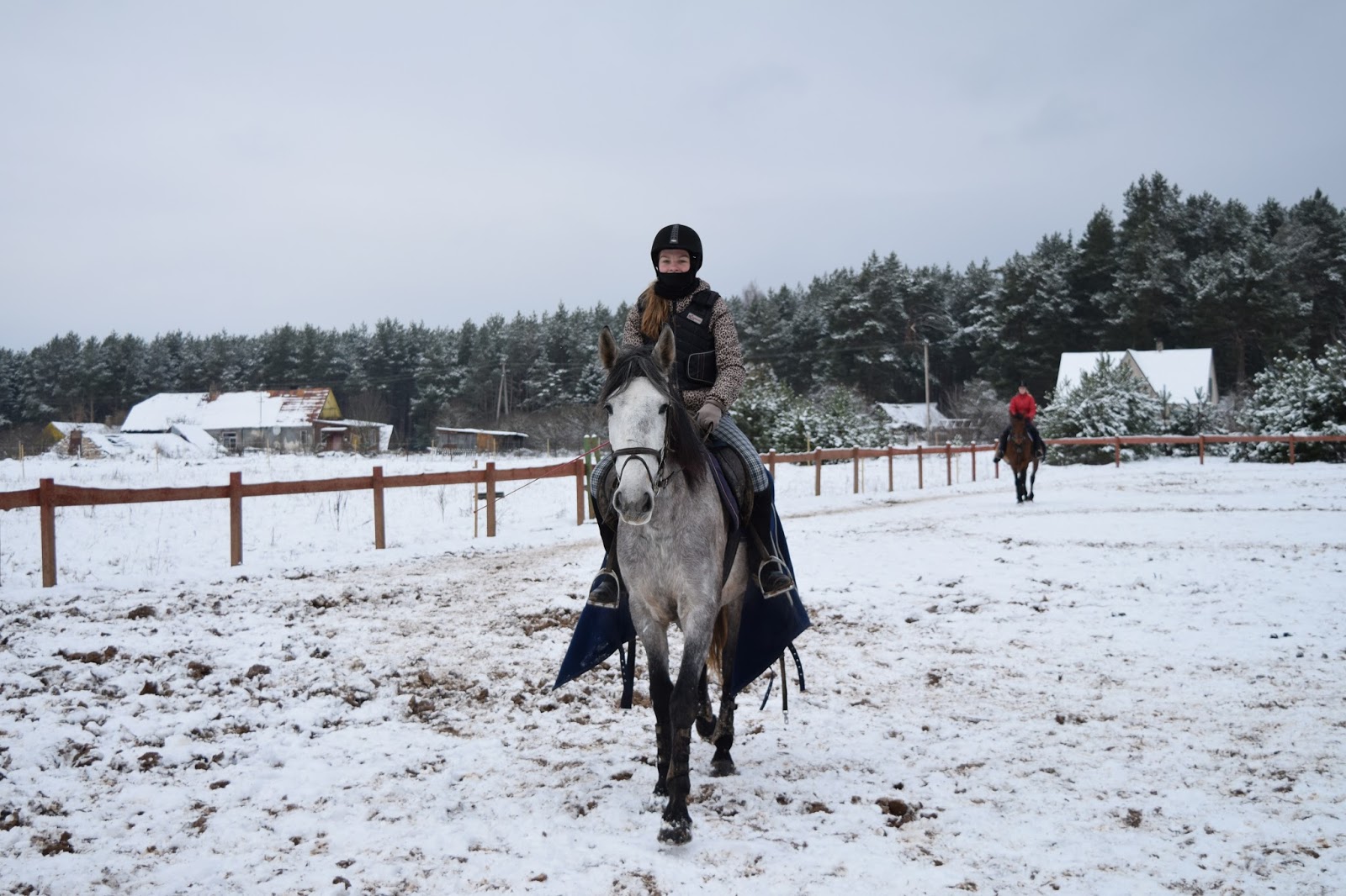 Equestrian Eve Winter horse riding lesson