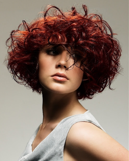 curly bob hairstyles december