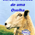 Na TV Sinal. Pr. Cicero Neto fala sobre lançamento de seu livro Caracteristicas de uma Ovelha Na TV Sinal. Pr. Cicero Neto fala sobre lançamento de seu livro Caracteristicas de uma Ovelha