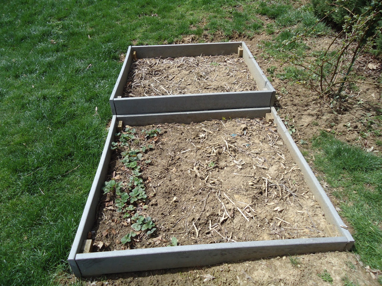 organic garden organic garden