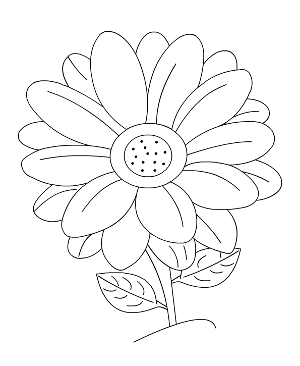 Categories : Flower coloring picures title=