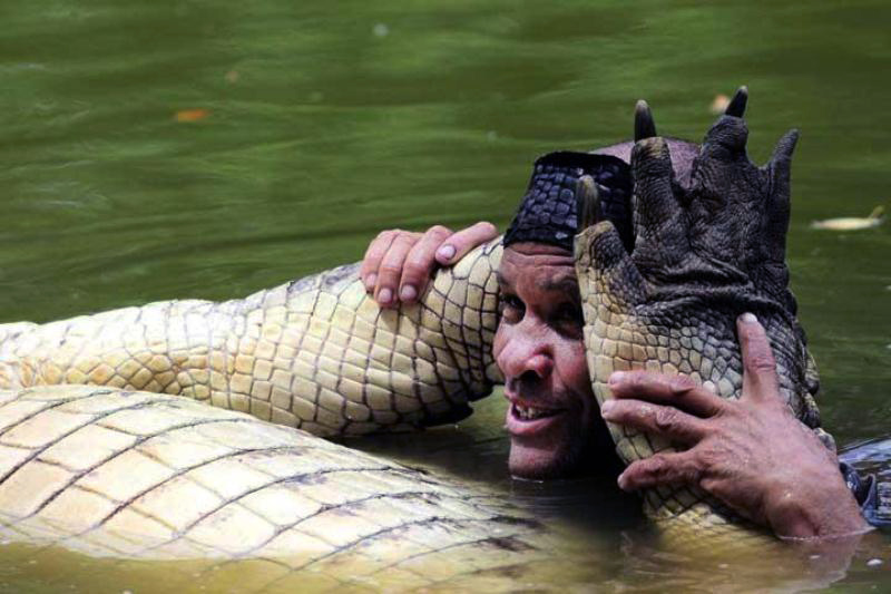 Choose Your Magic Travel 5 Amazing Friendship Stories