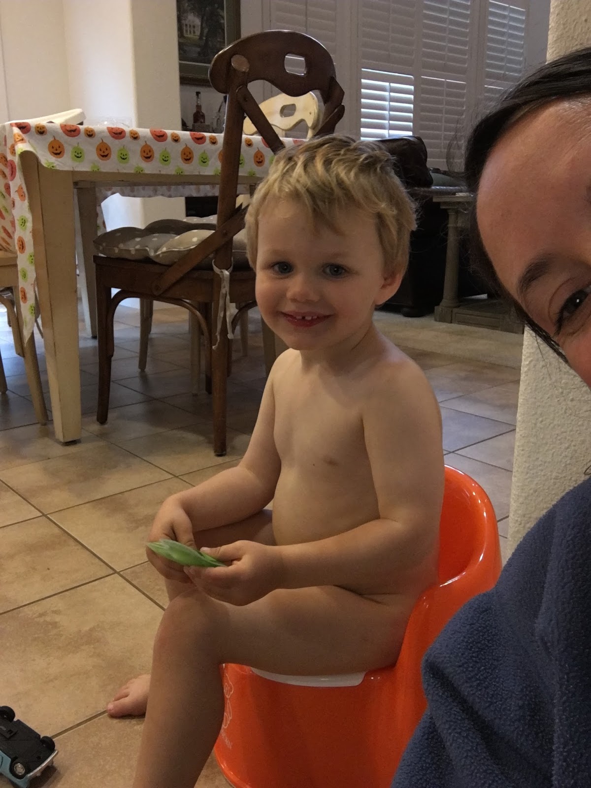 Wife Without Borders All Aboard the Potty Train!