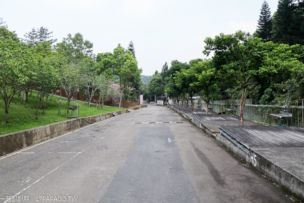 台中新社櫻花鳥森林5千棵蜀葵花、小火車、露營區,平日免費入園 台中新社櫻花鳥森林5千棵蜀葵花、小火車、露營區,平日免費入園