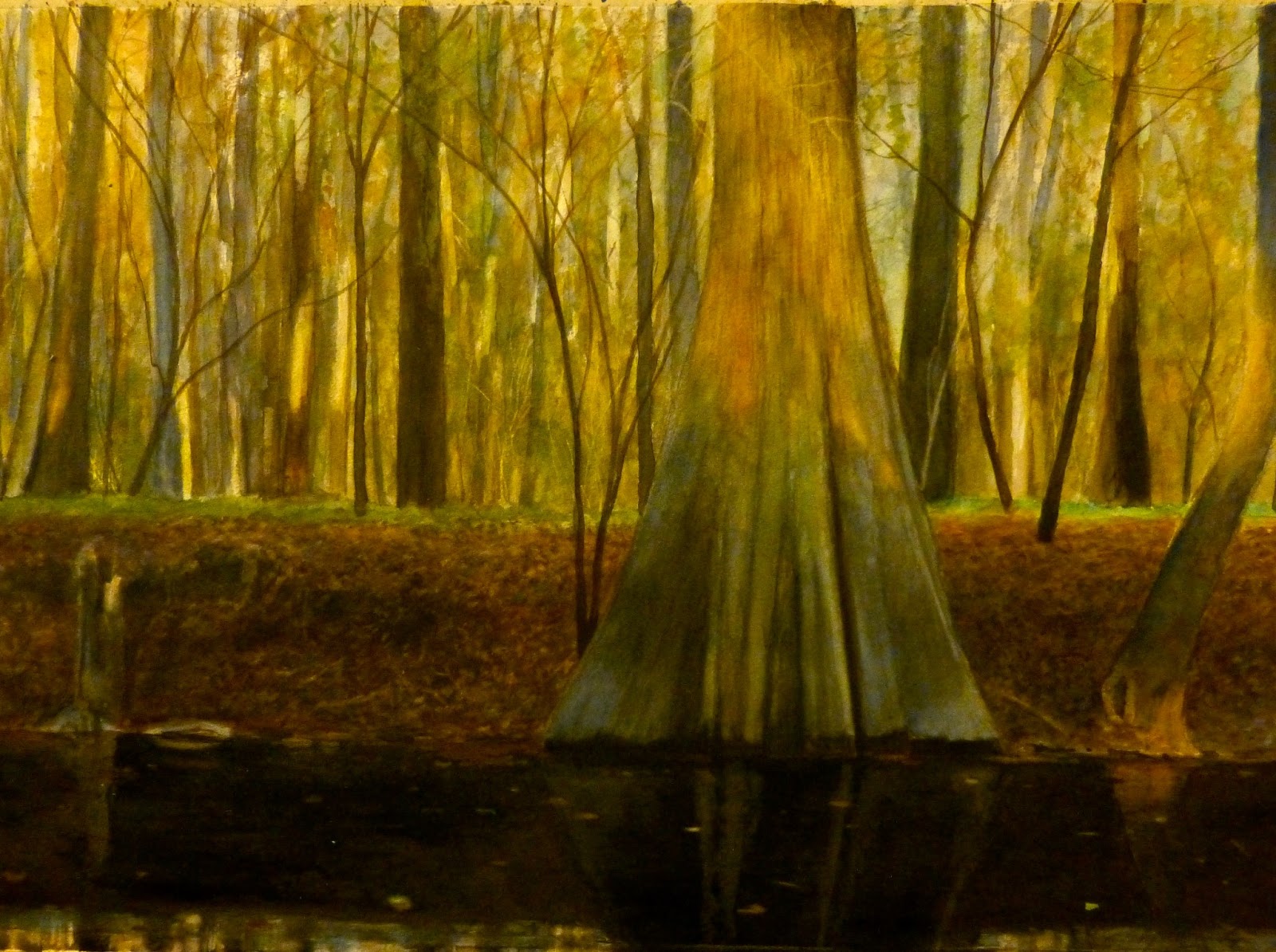 Artful Columbia, SC 3Rivers Now (short talks about the rivers) and