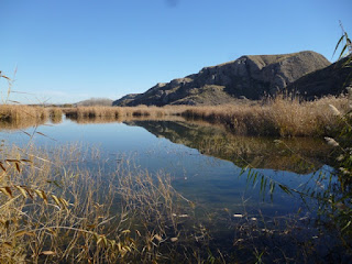 Laguna de San Juan