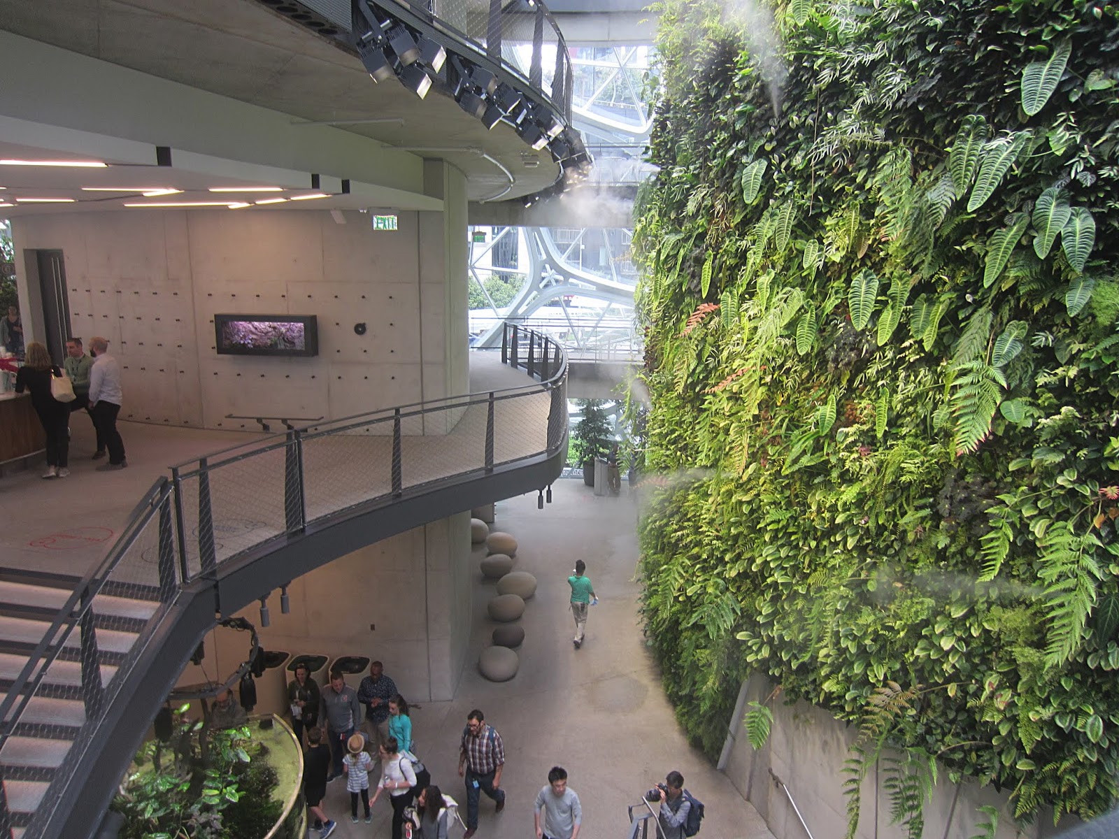 Внутри амазоновских сфер andresol — LiveJournal