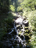 Torrente lungo la sterrata