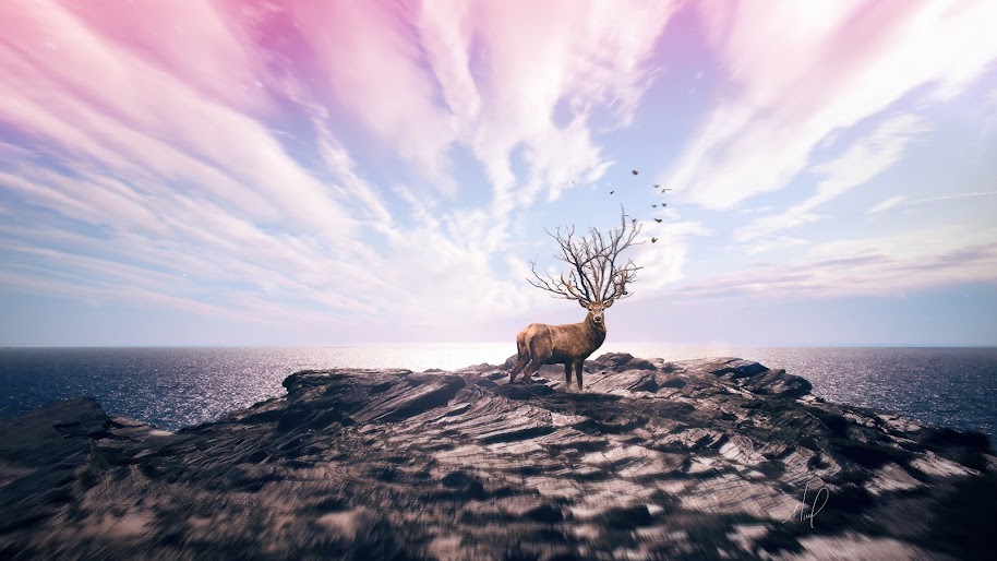 Deer, 4K, 3840x2160, #55