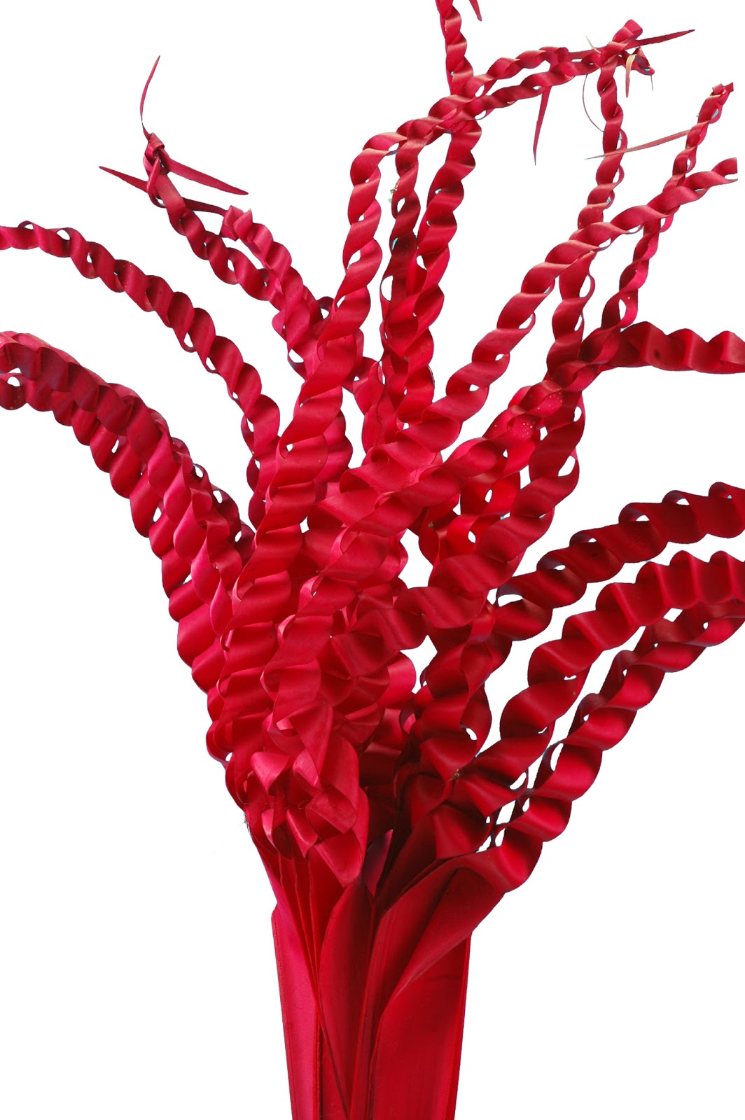 Floralis Flowers, Gifts & More July 2013