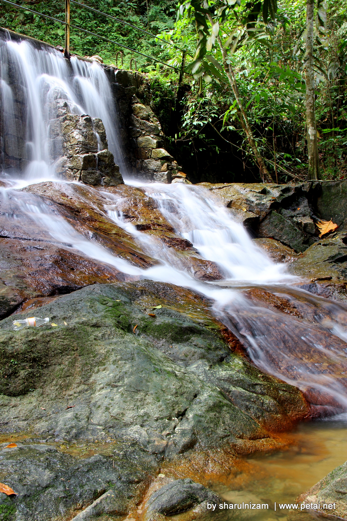 Fotografi Di FRIM, Kepong