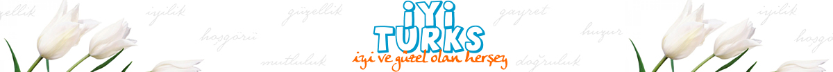 iyi turks