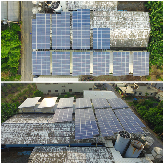 豬舍屋頂種電不僅多了種電收入,還能隔熱降溫、豬隻「換肉率」提高!