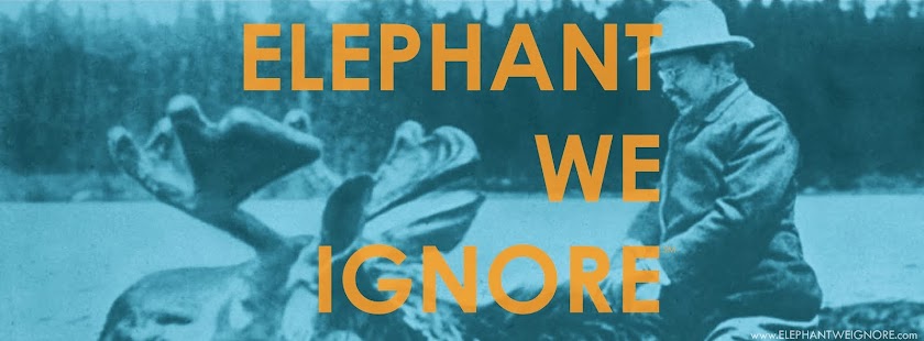Elephant We Ignore