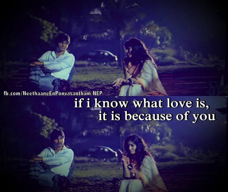 A Perfect love dp and quotes for your loved one!