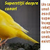 Superstiţii despre canari