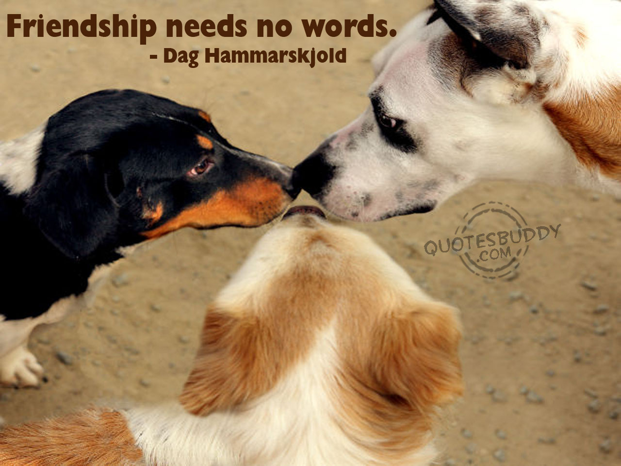 ENTERTAINMENT SAD FRIENDSHIP QUOTES FOR ALL