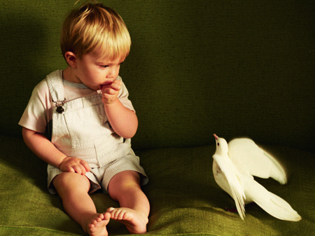 Petit Bateau Ropa DÍA Para Niños