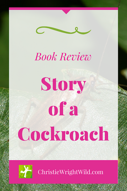 Book Review: Story of a Cockroach || writers who run | read for luck | children's book reviews | picture book recommendations