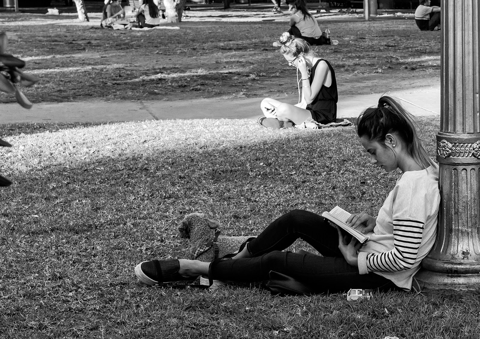 Lectura Joven sentada en el césped leyendo.Blanco y Negro