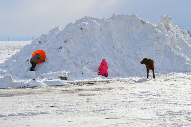 Snow Pile Fun Snow Pile Fun