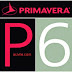 تحميل برنامج primavera p6 بريمافيرا p6.8.3  عدة روابط 