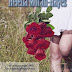  Rosas y Encajes - Helena Moran-Hayes (Serie) [Descargar- PDF]