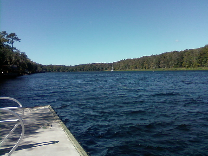 *Our Country Home... Lunch at Treasure Cove in Fowler's Bluff FL