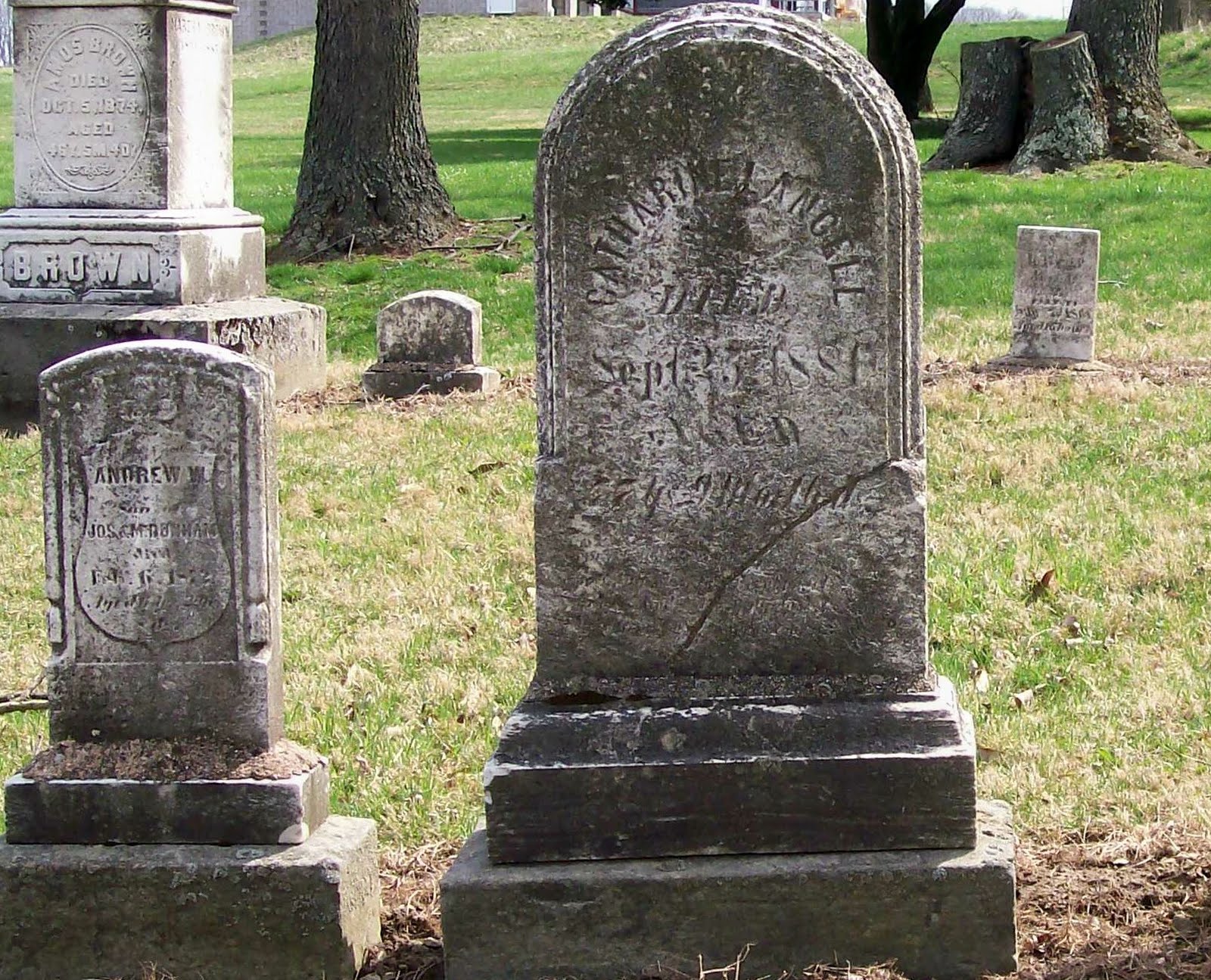 Graveyard Rabbit of Sandusky Bay Old Presbyterian Cemetery in Apple