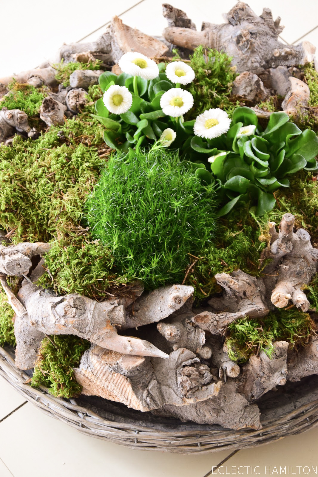 Natürliche Frühlingsdeko Für Euer Zuhause Eclectic Hamilton Frühlingsdeko Basteln Mit Naturmaterialien Selber Machen Moos Holzkranz Bellis Natur Deko Für