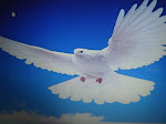 la paloma de la paz, que buena falta hace
