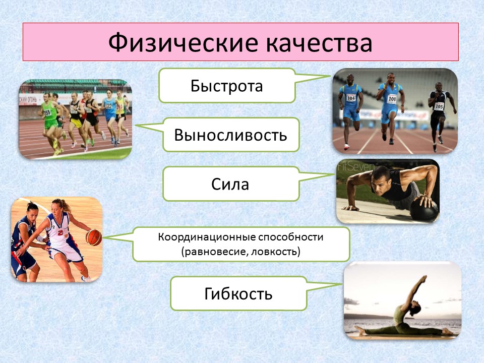 виды спортивных способностей. виды спортивных способностей. основных физических качеств человека. сила выносливость ловкость гибкость быстрота это. физические качества в спорте.