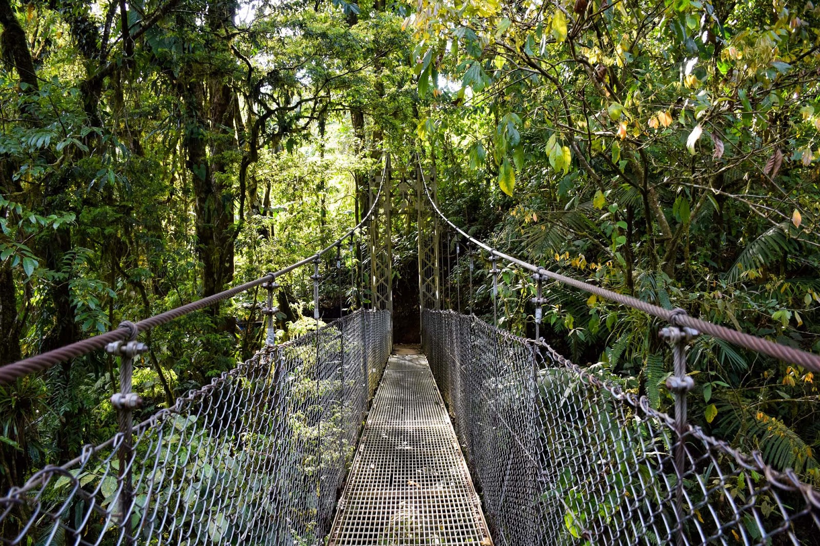 arenal hanging bridges