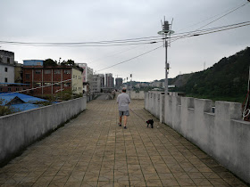 man walking a dog on a wall bordering the Gui River (桂江) in Wuzhou (梧州)