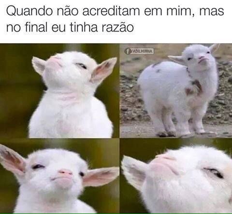 memes para alegrar a sua semana memes para alegrar a sua semana