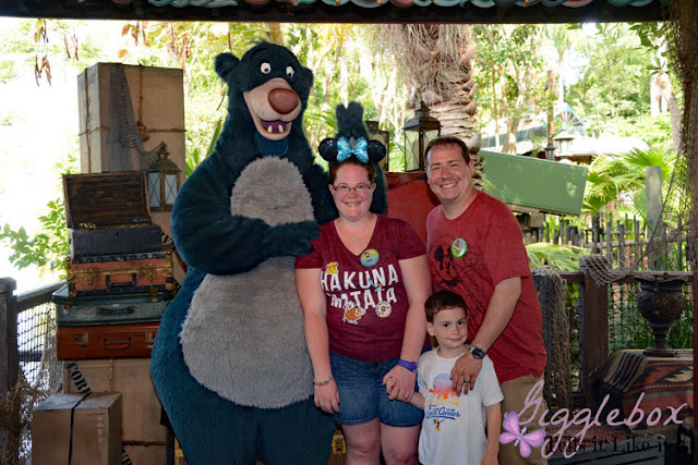 Walt Disney World Resort, Walt Disney World, Disney World, best and worst Walt Disney World resorts, best and worst Disney World restaurants, best and worst character dining at Disney World, best Disney World snacks, top 5 Disney World rides, must do's at Walt Disney World, helpful Disney World planning tips,