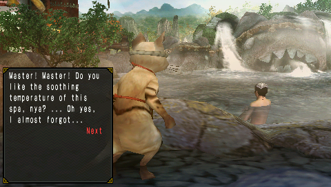 Monster Hunter Diary Poka Poka Airu Village