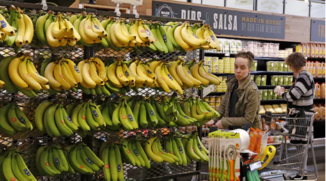 Amazon Price War with Retail Giant Walmart