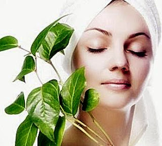 Remove ACNE With Betel Leaf Decoction Remove ACNE With Betel Leaf Decoction