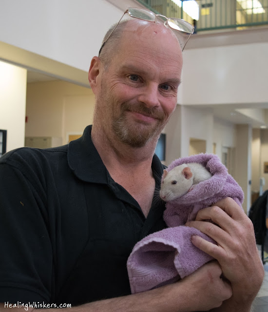 Oliver the Therapy Rat at Shorter University