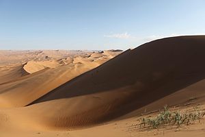 List of world’s deserts by Area