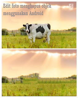 Contoh Foto sebelum dan sesudah di edit :